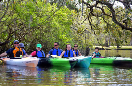 kayak tours river charleston scenic near